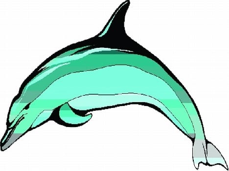 dolphin
