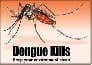 Teenager killed by dengue