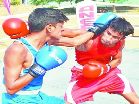 boxer fight