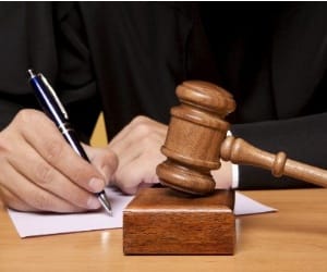important decree of High Court on prohibition of cow trafficking 