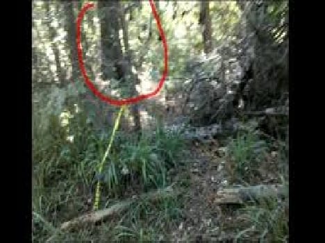 The body of missing man found hanged