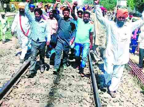 punjab farmers protest due to crop destruction 