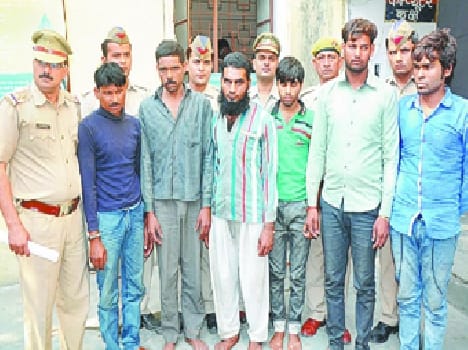 Arrested six rogue, tractor-trolley recovered