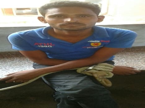 Murder, accused of robbery with pistol caught
