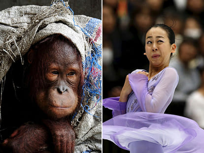 10 of The Most Powerful Photos Of The Week