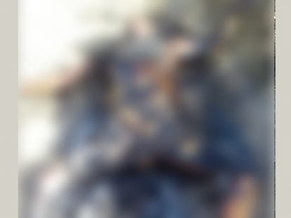 brutal murder of woman and burned dead body in rohtak