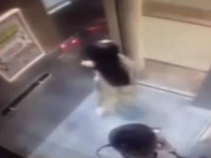 Woman sexually assaulted after being grabbed in lift