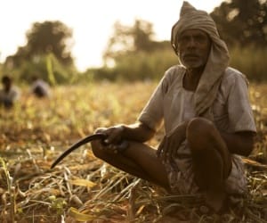 How curb farmer Suicides