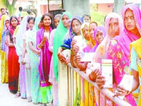 panchayat chunav news