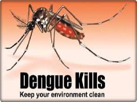 15 news cases of dengue found in jammu