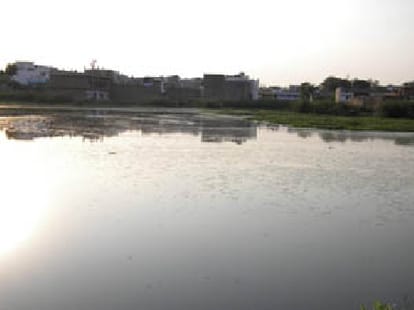 delhi should learn to control dengue from lahaur