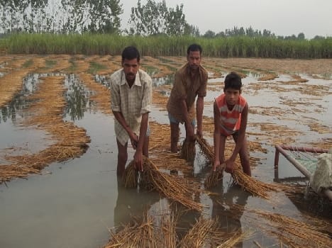 The canal was cut from five days The water wreak havoc