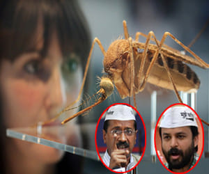 delhi should learn to control dengue from lahaur