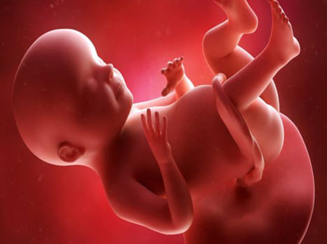First 'in womb' stem cell trial to begin