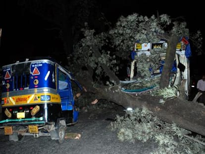 big tree fell on auto, driver injured