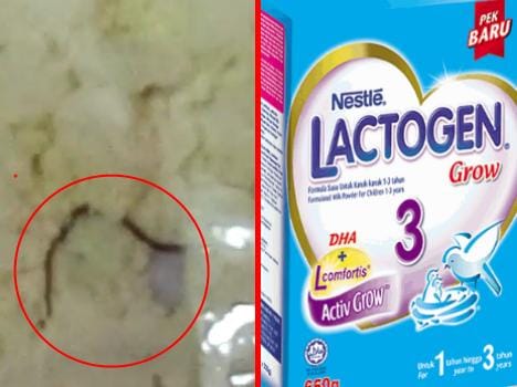 dead snake found in sealed packet of nestle lactogen milk powder