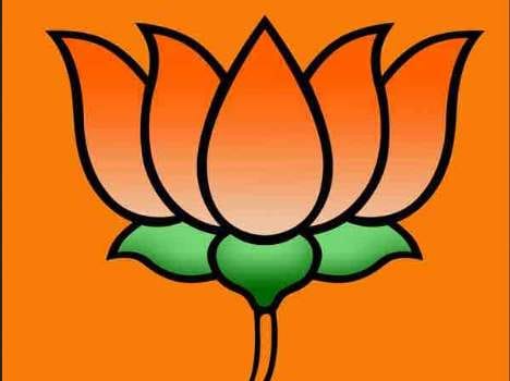 bjp state president election tommorow