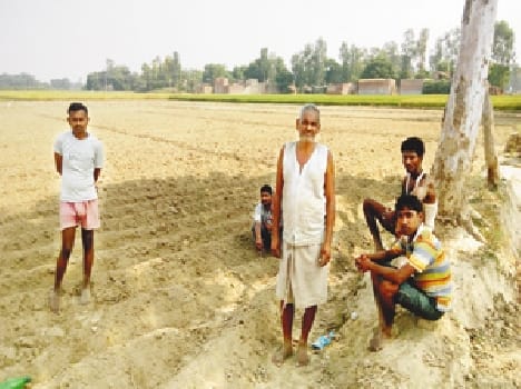 Potato planting time left after the votes cast