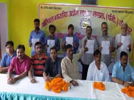 250 participants received food license