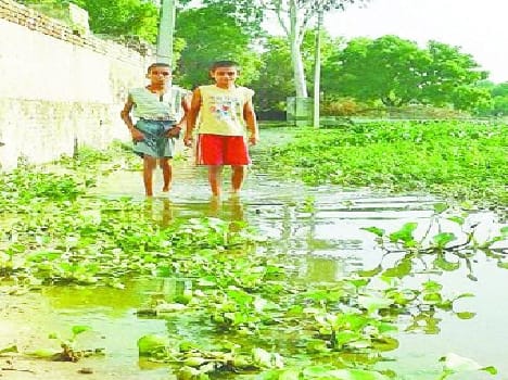 no development in matanat nagar after five years