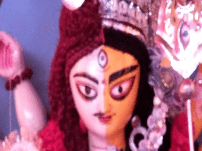 Transgenders celebrating Durga Puja in different style