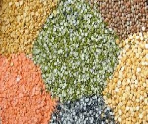 Uttarakhand villages will also got cheaper pulses.
