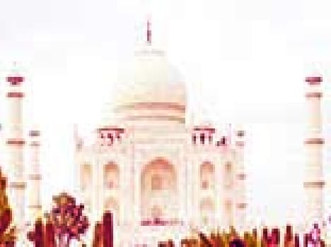 shine and craze of taj down fall