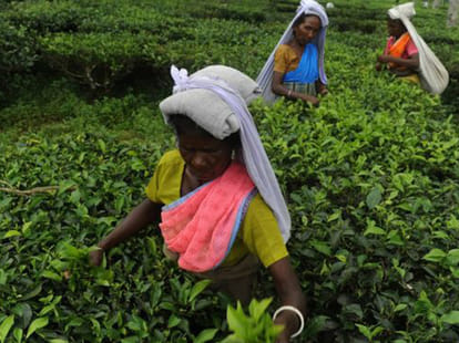  WAn Inspiring Tale Of Women Workers who Fought Against Tata And Won