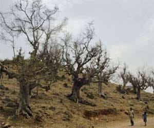 Drought relief without budget