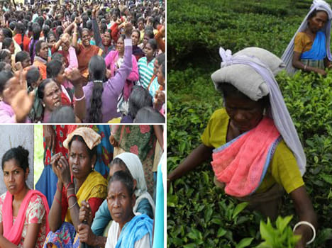 Three tea estate labourers died in WB