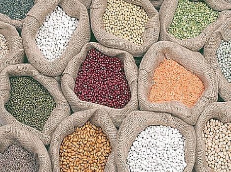 Daal