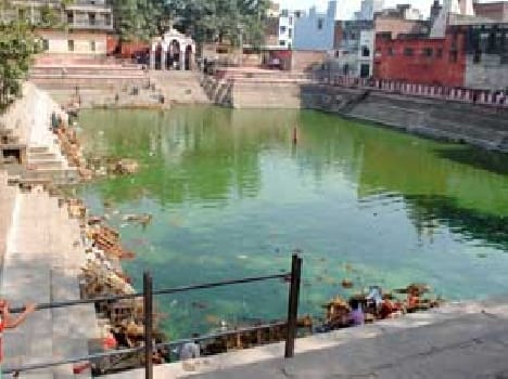 The Ganges flowing saved, pond are staying died