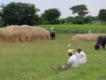 people are dying of hunger in telangana and madhya pradesh