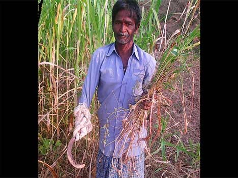 uniqe story of ram lal 