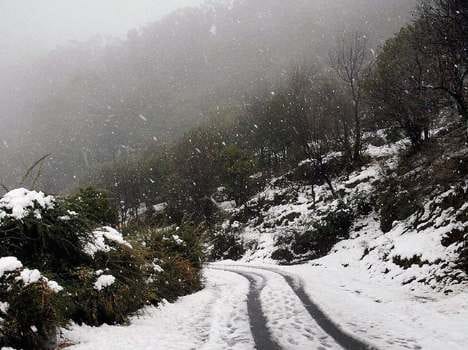 forecast of snowfall in himachal.