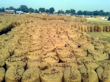 no space to sell paddy crop