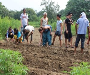 foreigner learn farming in uttarakhand.
