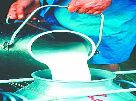 Ghee prepair by charbi
