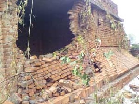 Jmajm farmers face rain bloom