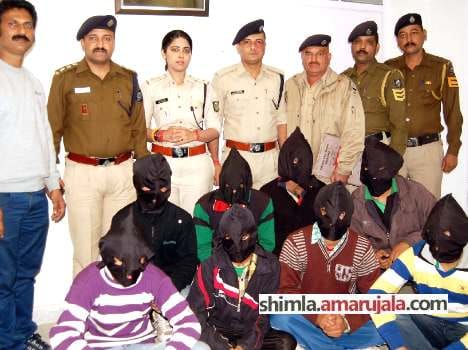 sirmaur police arrest 11 accused in cow trafficking case at nahan.