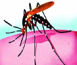 The city of dengue shock syndrome patients