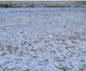 report, the land besides ganges being barren.