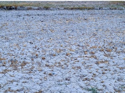 report, the land besides ganges being barren.