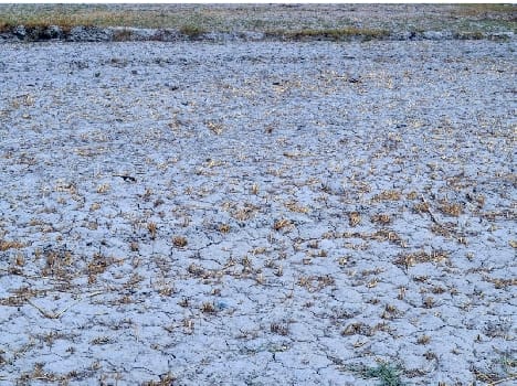 District of barren land on the verge of