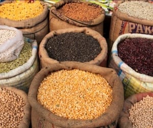 ?food supply corporation action