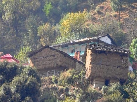 people stored grass at home