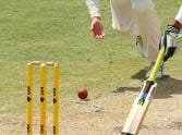 T-20 cricket match final on 17jan