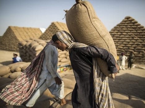 India will import one crore tonne pulses to reduce price hike
