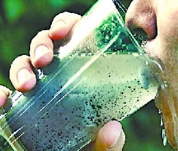 Spending crores , thirst not going out again