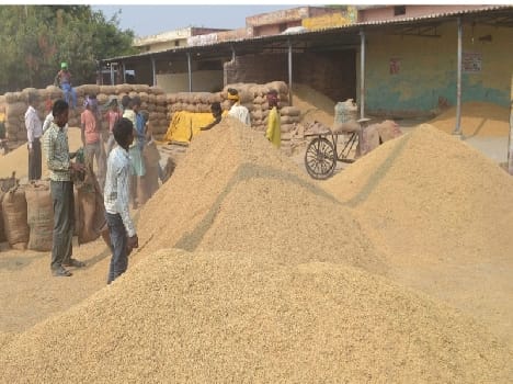  Government paddy procurement centers less